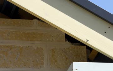 soffit repair Crawleyside